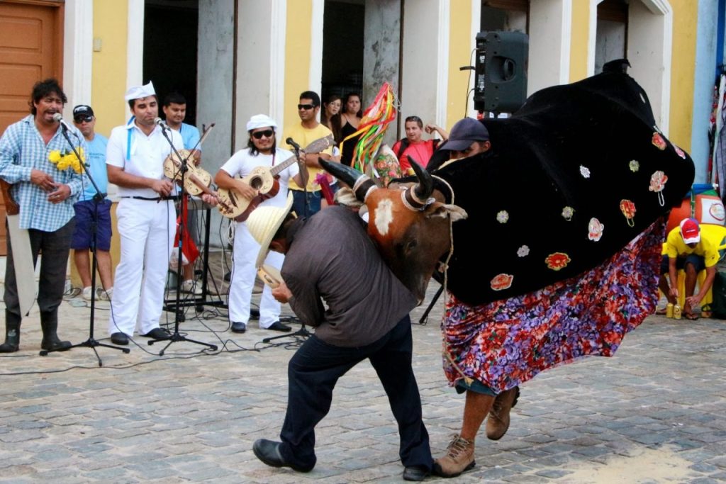 Folia do Boi de Mamão – divulgação (3)