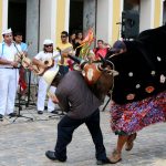 Folia do Boi de Mamão – divulgação (3)