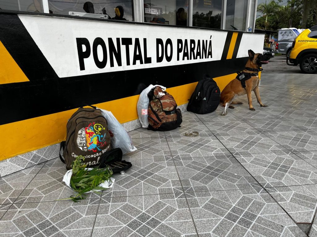 Operação Polícia Civil Litoral 3