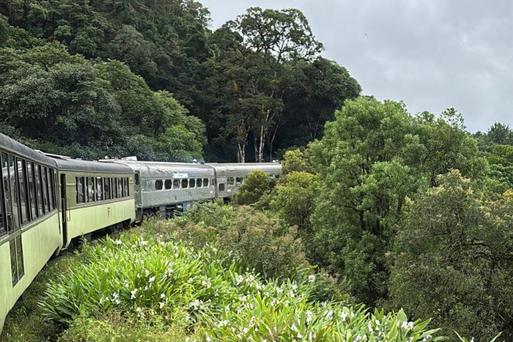 PASSEIO DE TREM – JB LITORAL (2)