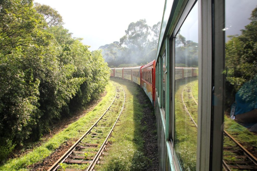 TREM – SERRA DO MAR (1)