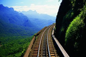 TREM – SERRA DO MAR (2)