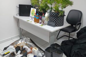 Tráfico de drogas na Ilha do Mel 5