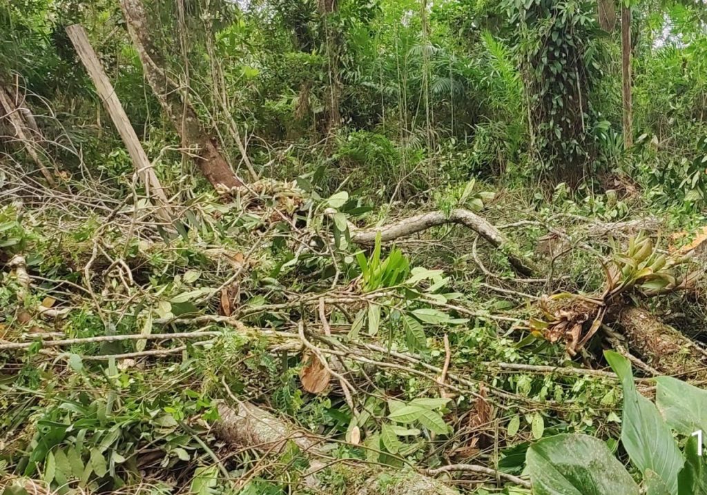 Ação Políia Ambiental Matinhos 21