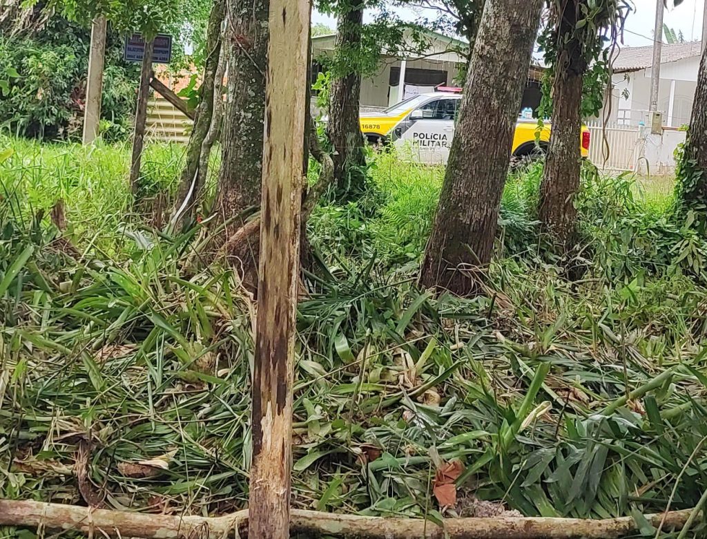 Ação Políia Ambiental Matinhos 5