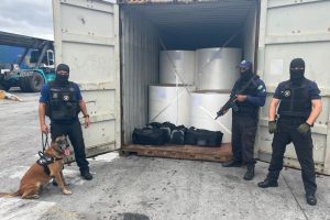 Cocaína apreendida no porto de Paranaguá contêiner 1
