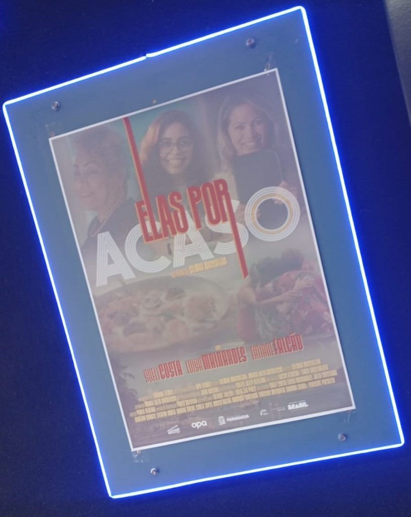 Elas por acaso filme (3)