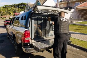 IMG-20250312-WA0056