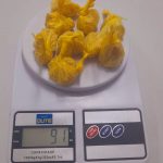 Tráfico de drogas Apreensão de Crack Paranaguá
