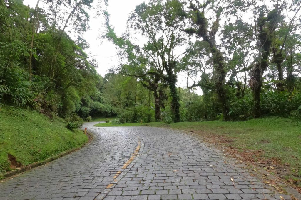 estrada_da_graciosa_03