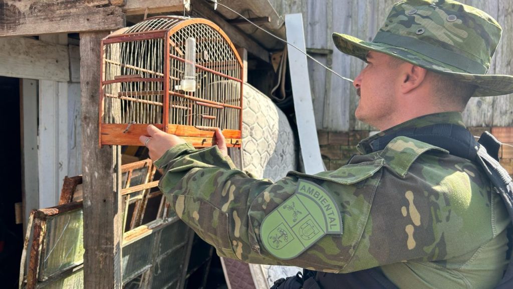 Apreensão de pássaros – Polícia Ambiental 34