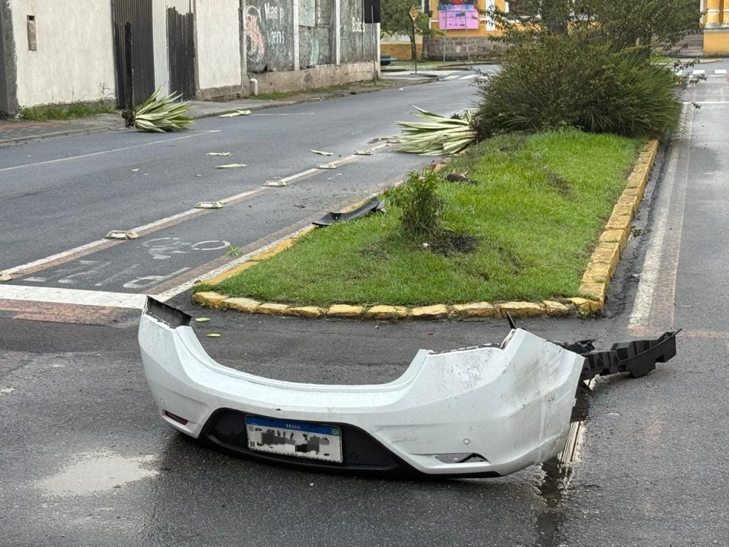 Carro derrubar árvores na José Lobo 30
