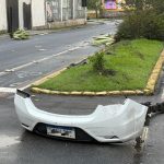 Carro derrubar árvores na José Lobo 30
