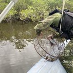 IMG-20250422-WA0070