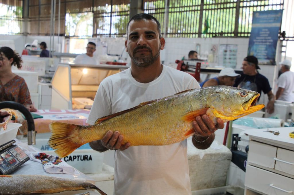 MERCADO DO PEIXE PARANAGUÁ DIOGO MONTEIRO JB LITORAL (73)