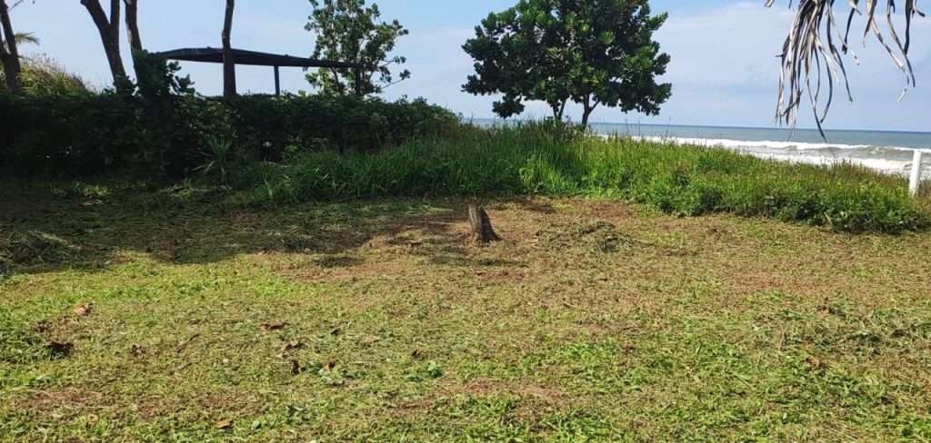 Polícia Ambiental Ação em Guaratuba 2