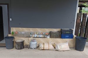 Polícia Ambiental Apreensão de Palmito em Morretes 21