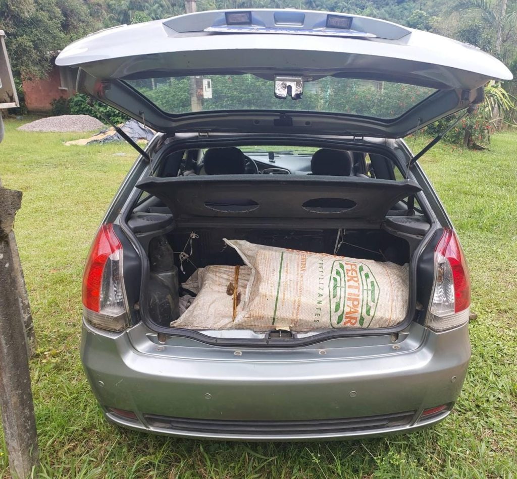 Polícia Ambiental Apreensão de Palmito em Morretes 456