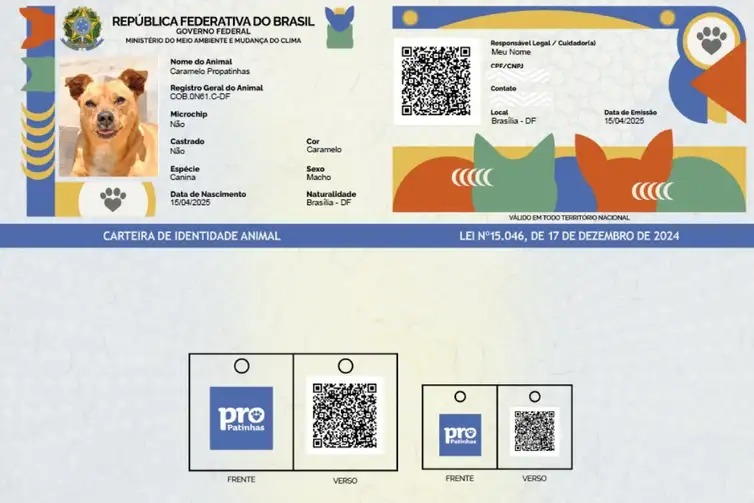 RG CAO E GATO