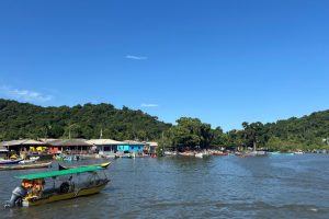 Ilha do Amparo