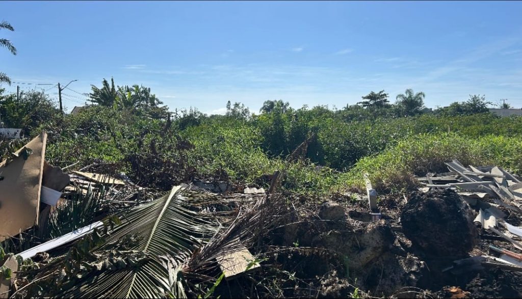 Ação Polícia Ambiental Área de Mangue – Guaratuba (1)