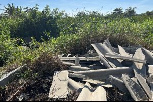 Ação Polícia Ambiental Área de Mangue – Guaratuba (2)