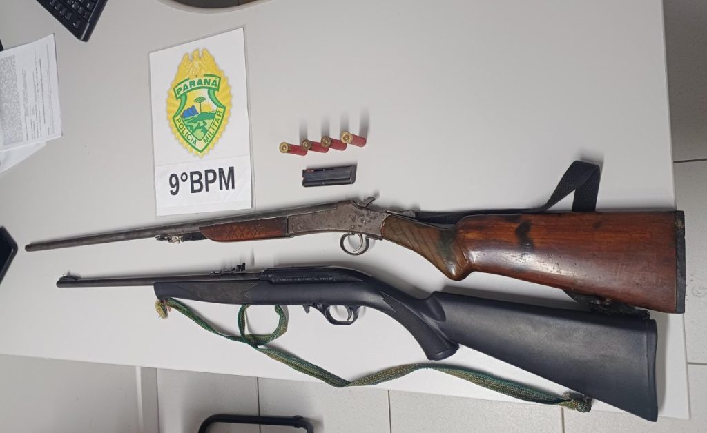 Apreensão de arma de fogo Ilha de Eufrasina