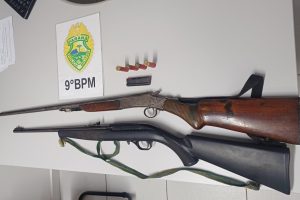 Apreensão de arma de fogo Ilha de Eufrasina