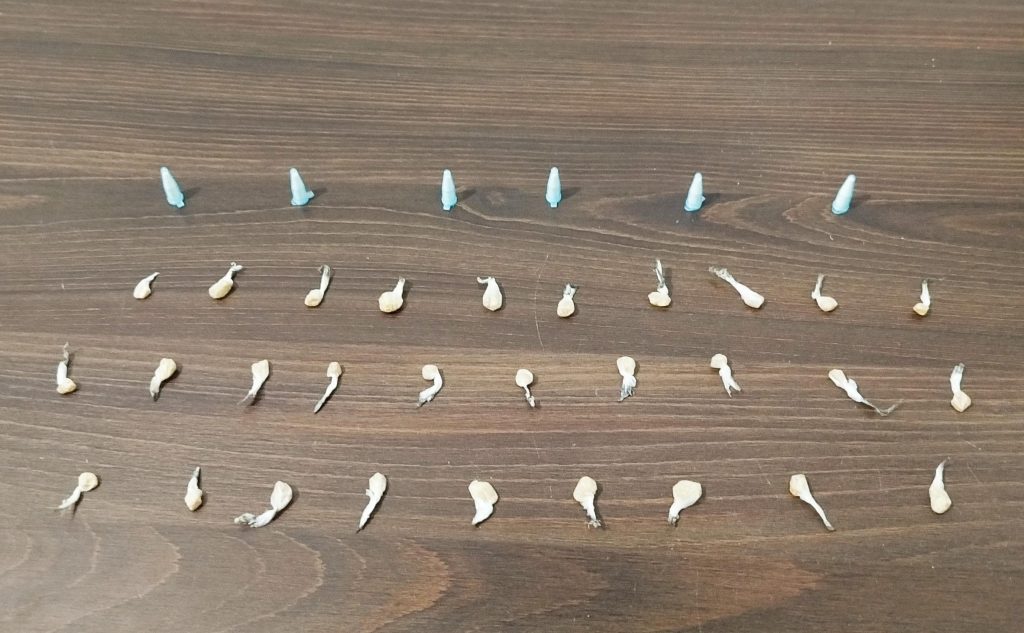 Apreensão de drogas em Guaratuba Polícia Militar