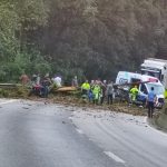 Carro foi atingido por árvore cortada ilegalmente, em uma véspera de feriado prolongado, com alto fluxo de veículos na BR-277. Foto: Colaboração/JB Litoral