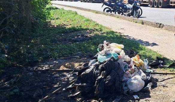 GCM fiscalização ambiental 21.jpeg