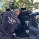 Polícia Civil captura homem procurado por estupro em Paranaguá