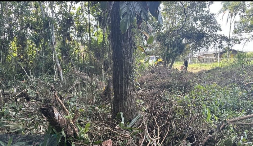 Policiais milibares Batalhão Ambiental Guaratuba (2)