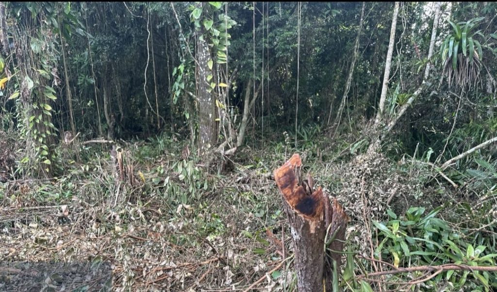 Policiais milibares Batalhão Ambiental Guaratuba (3)