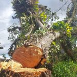 Policiais milibares Batalhão Ambiental Guaratuba (4)