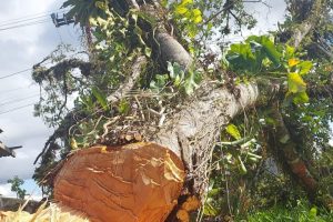Policiais milibares Batalhão Ambiental Guaratuba (4)