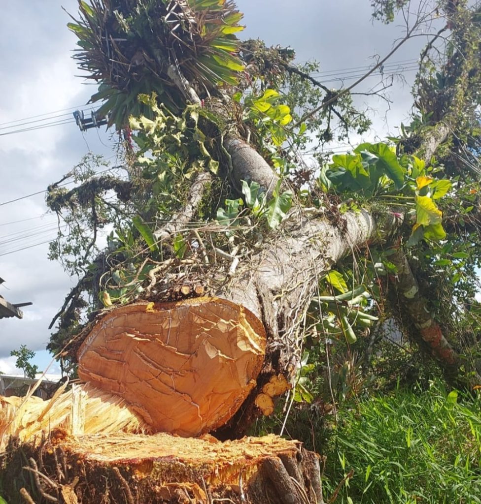 Policiais milibares Batalhão Ambiental Guaratuba (4)