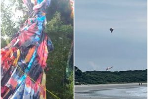 Um dos balões foi avistado na Ilha do Mel, e o outro caiu em uma região de mangue no Jardim Iguaçu.