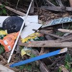 Ação Patrulha Ambiental Colônia São Luis 1