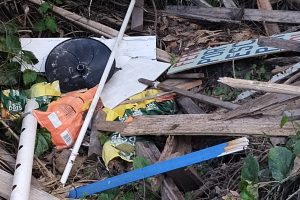 Ação Patrulha Ambiental Colônia São Luis 1