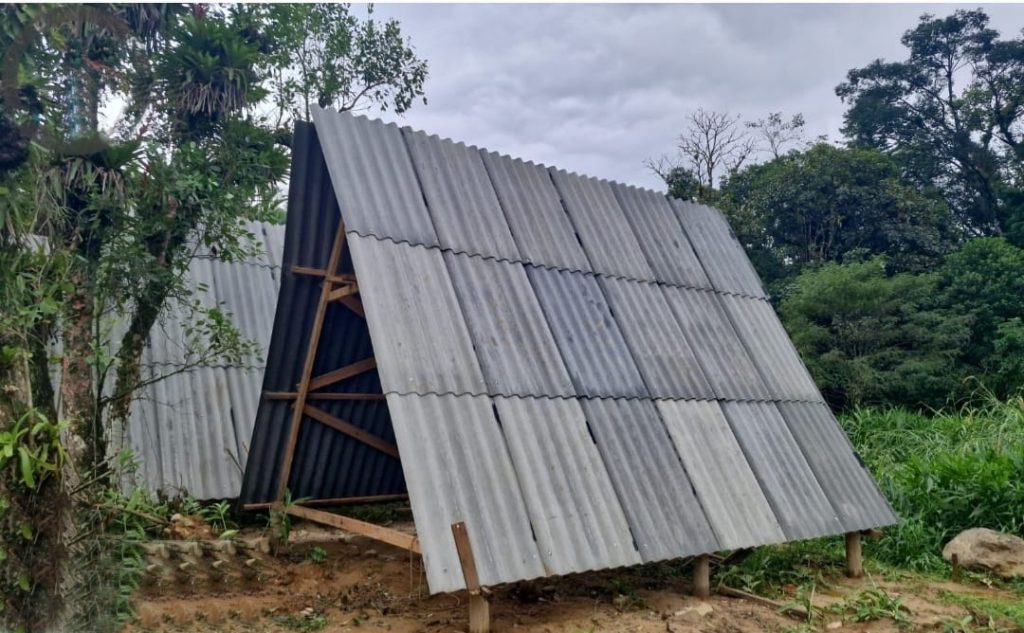 Ação da Polícia Ambiental 4