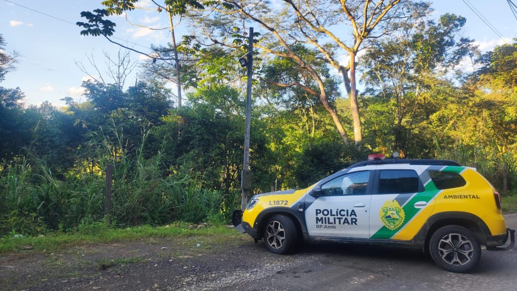 Apreensão motosserra em Guaratuba 1