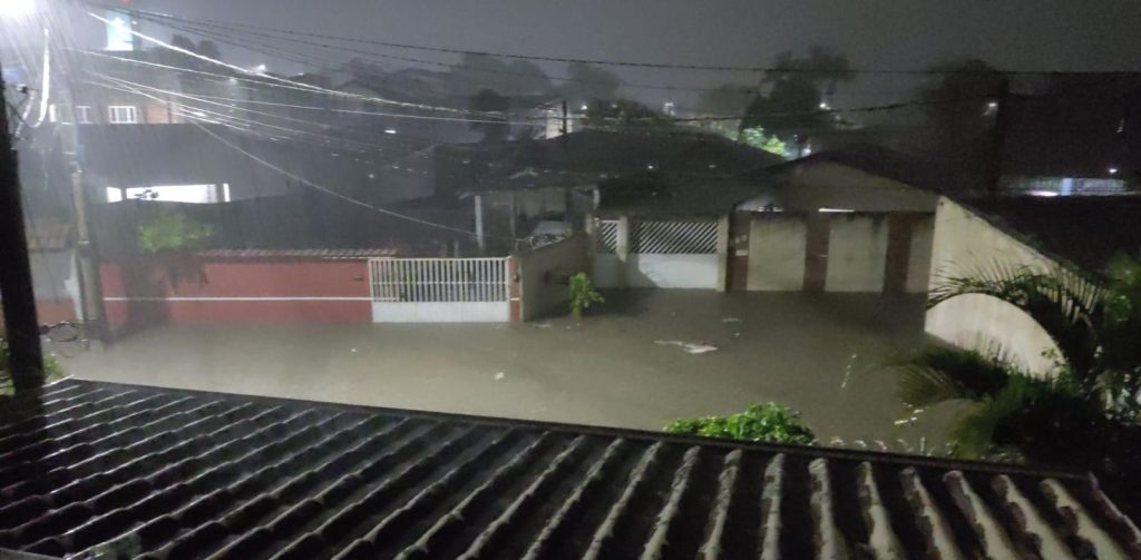 Moradores descartavam móveis velhos e até animais mortos.
