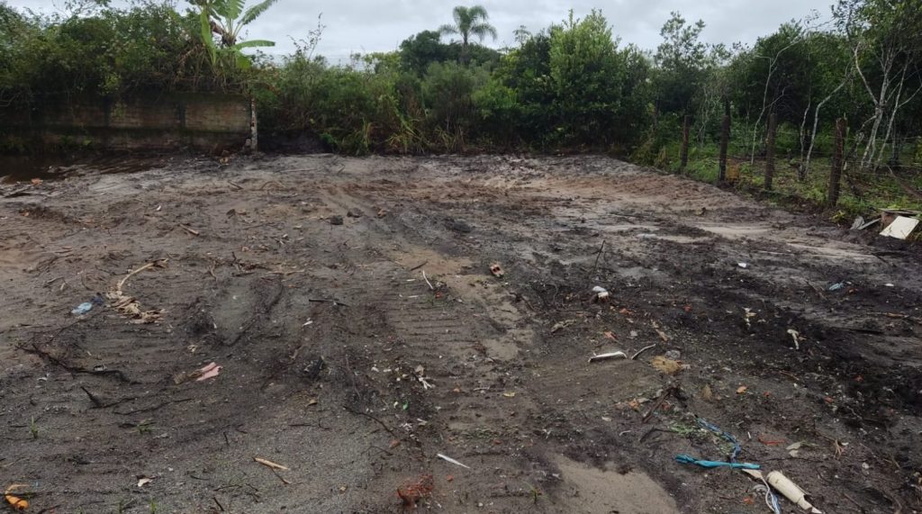 Polícia Ambiental 02