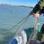 Polícia Ambiental apreende outra rede de pesca em Guaratuba (4)