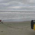 IMG-20250704-WA0006