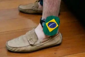 Perna