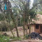 Polícia Abiental atua propriedade por crime contra a Mata Allântica
