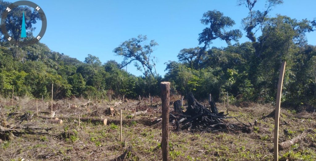 Polícia Ambiental Ação em Guaratuba 001