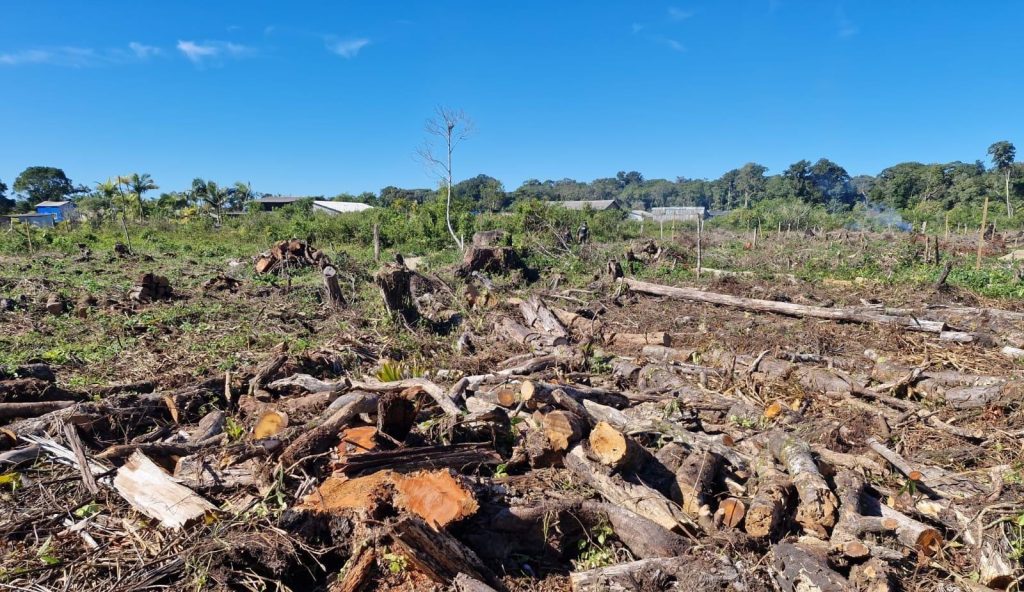 Polícia Ambiental Ação em Guaratuba 002